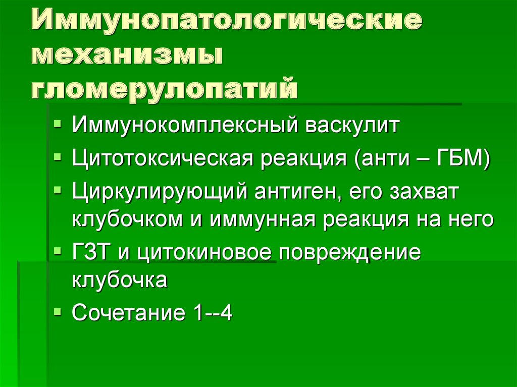 Иммунопатологические механизмы гломерулопатий