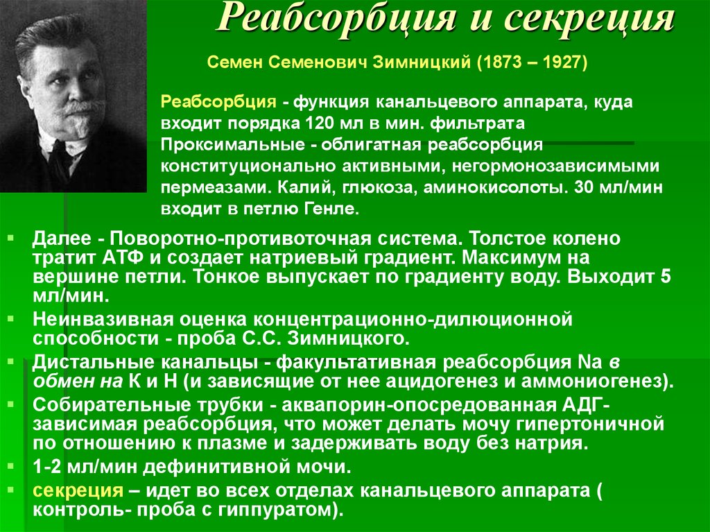 Реабсорбция и секреция