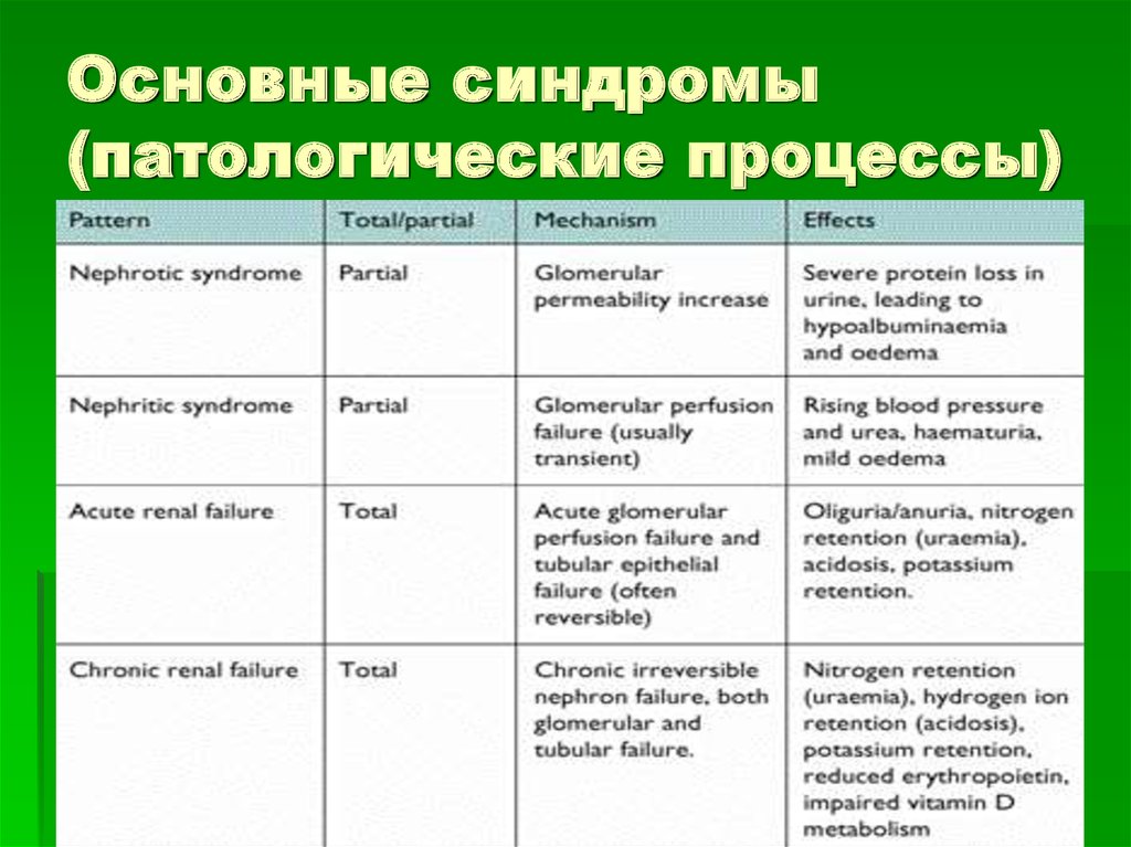 Патология процесс. Основные патологические процессы. Основные синдромы. Основные патологические синдромы. Патологические процессы кожи.