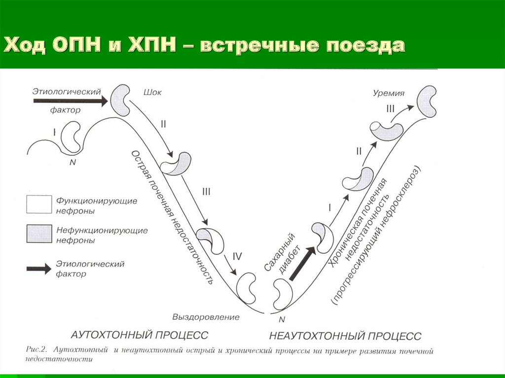 Ход ОПН и ХПН – встречные поезда