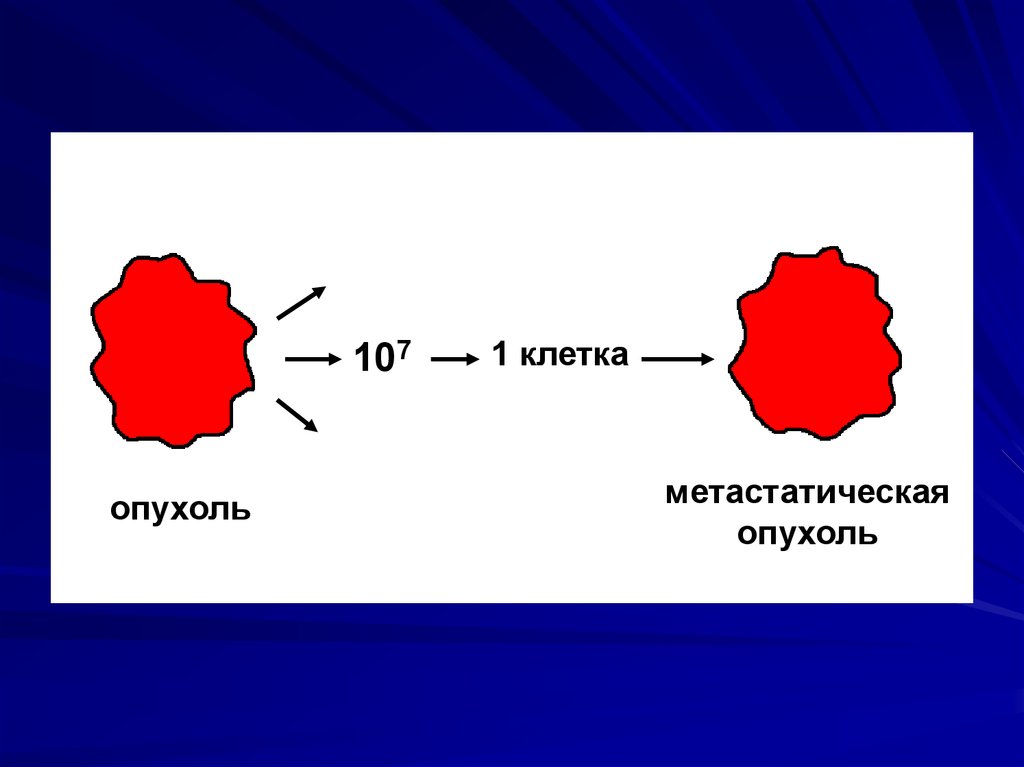 Химический канцерогенез презентация