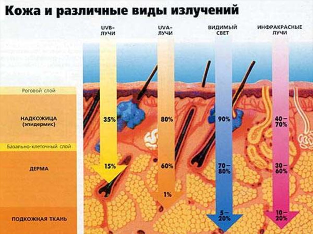 Радиация кожи. Влияние солнечных лучей на кожу человека. Ультрафиолетовое излучение на кожу. Воздействие УФ излучения на кожу. Ультрафиолетовое излучение воздействие на кожу.