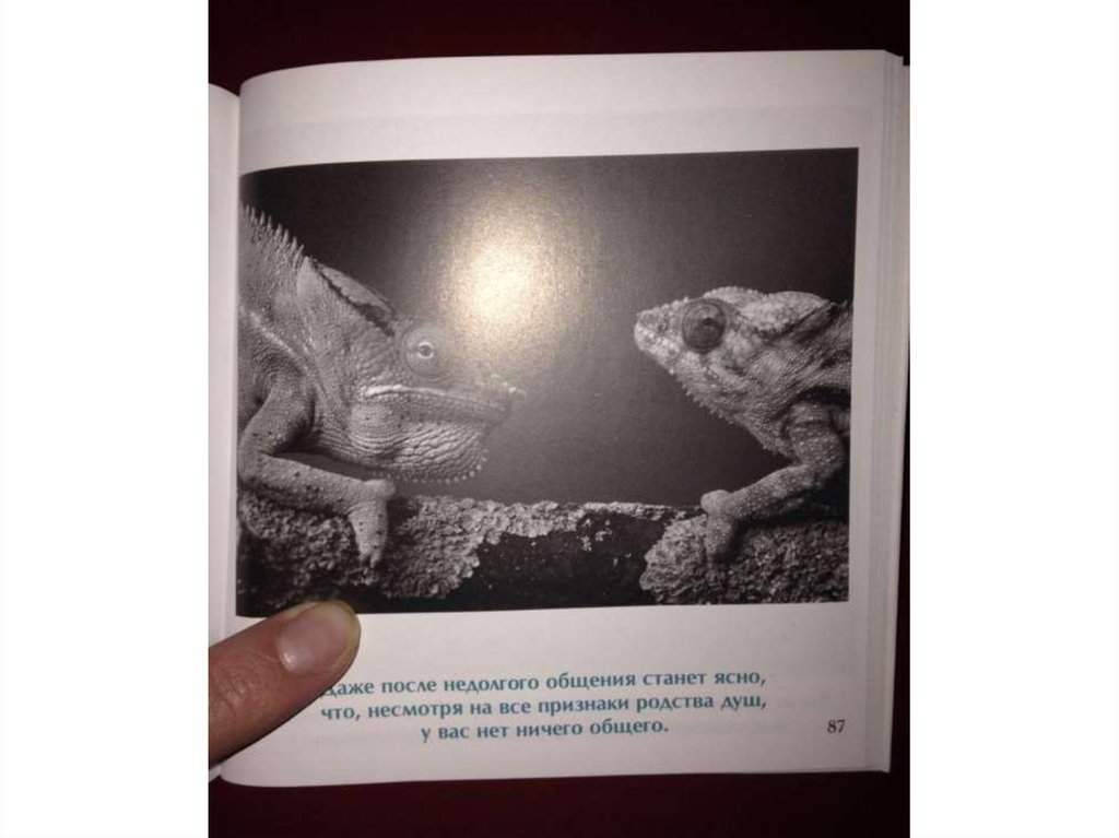 Книжная иллюстрация. Найти книгу по фрагменту. Найти книгу по фрагменту. Найти книгу по фрагменту. Великие художники.