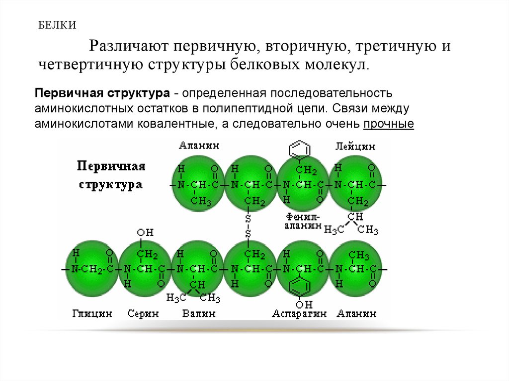 Вещества белковой природы