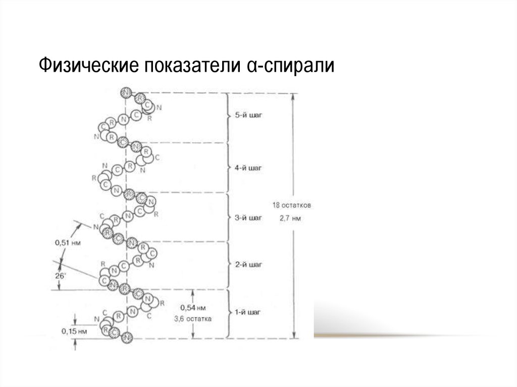 Физический критерий. А спирали в белке посчитать. Шаг Альфа спирали равен. Как посчитать Альфа - спирали и быта слои в белке?.