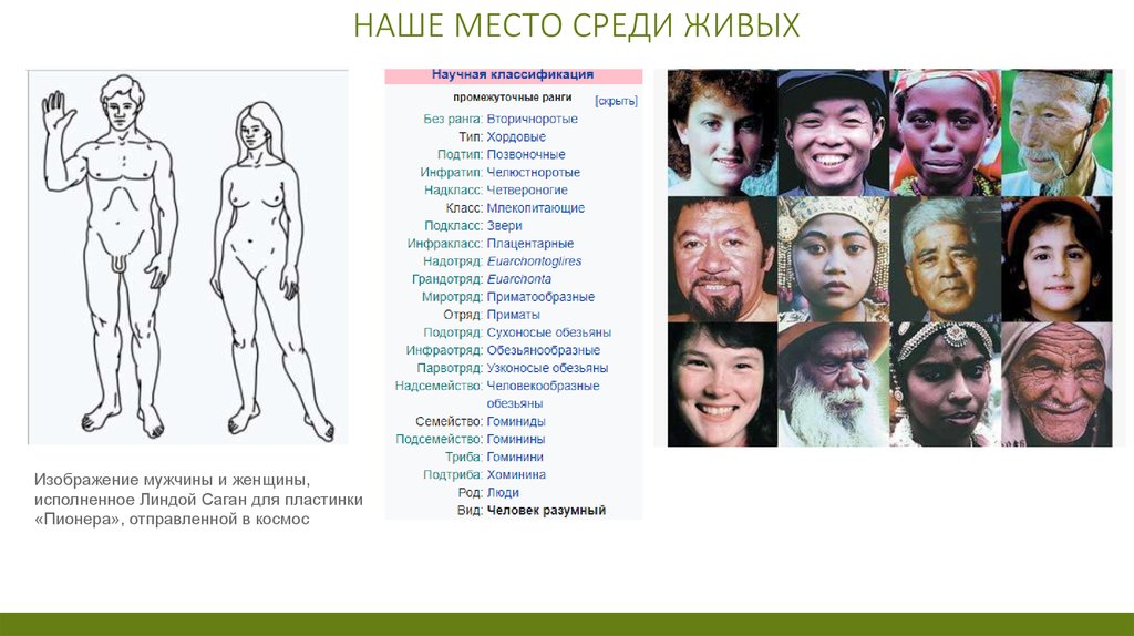 Наше место среди живых