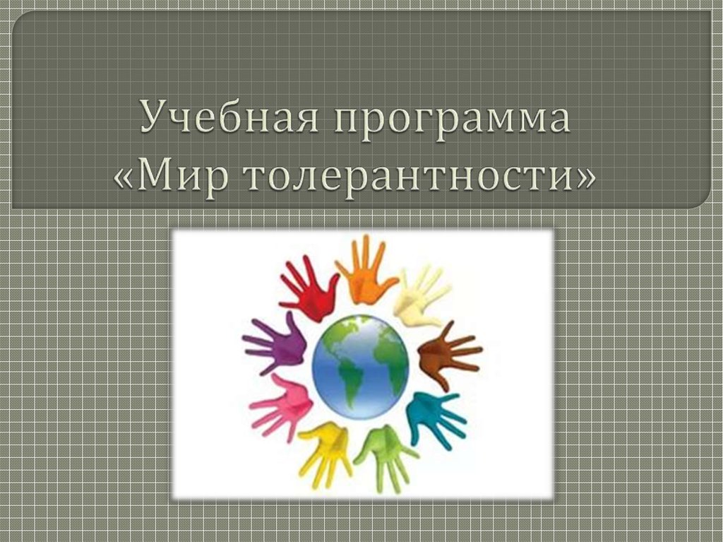 Учебная программа «Мир толерантности»