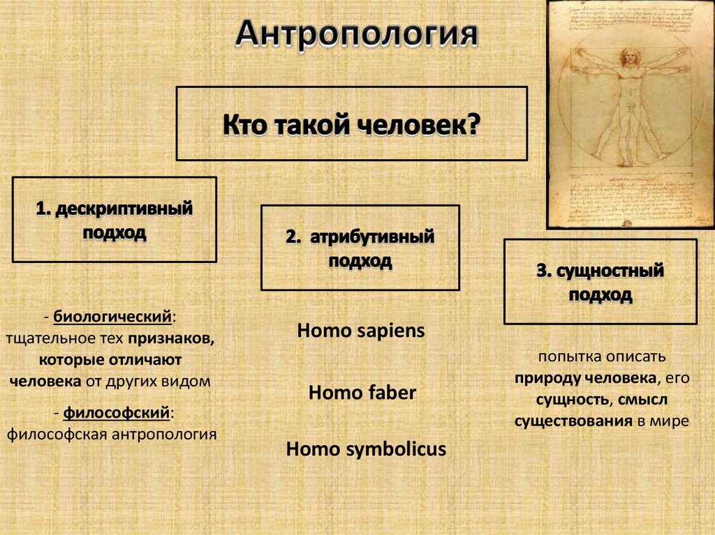 Антропология это. Антропология схема. Методы антропологических исследований. Антропология кто такой человек. Разновидности антропологии.