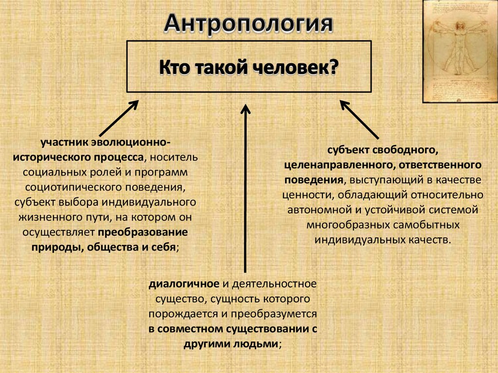 Что такое человек. Антропология кто такой человек. Структура антропологии. Антропология человека схема. Антропология определение кратко.