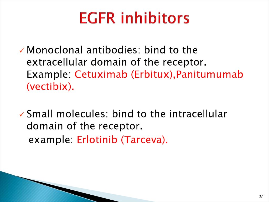 EGFR inhibitors