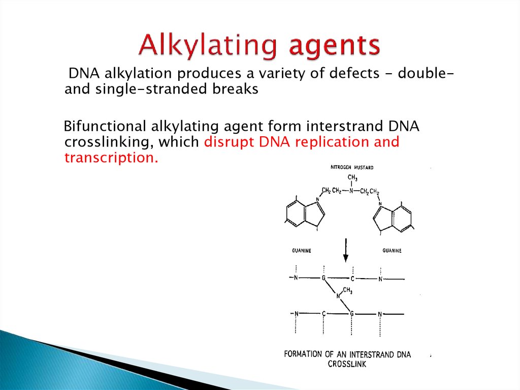 Alkylating agents
