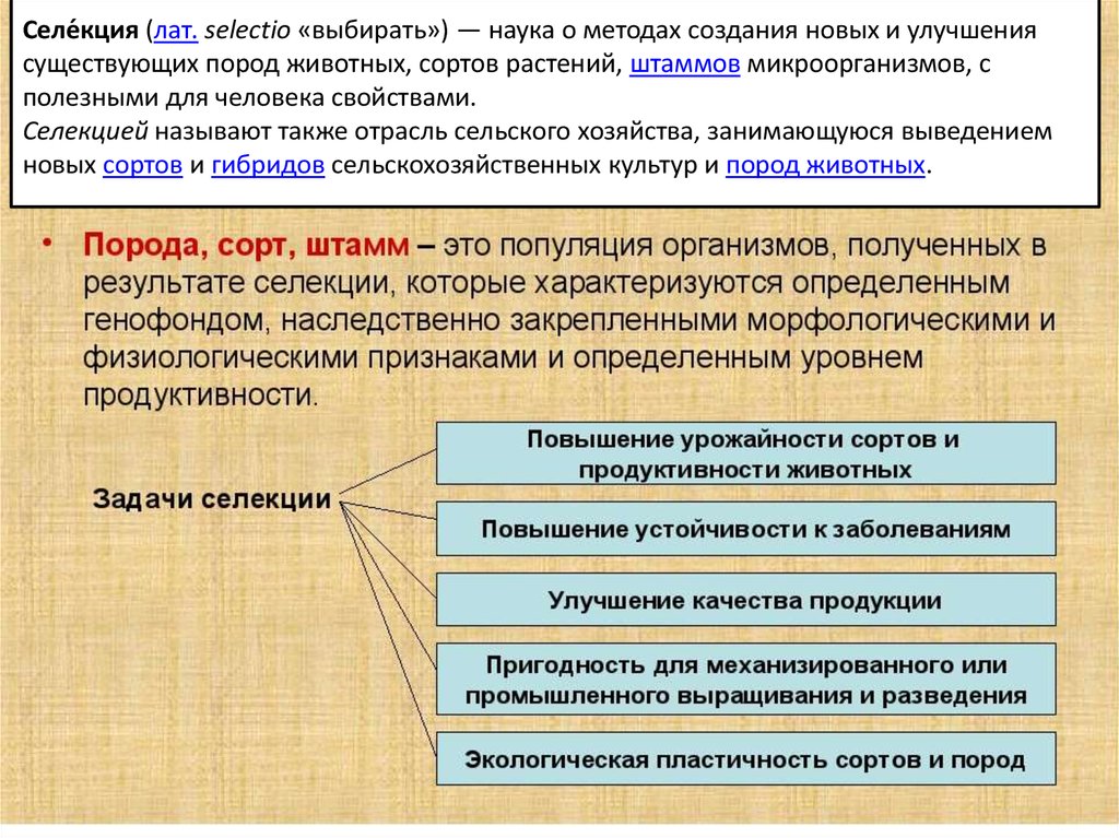 Задачи селекции