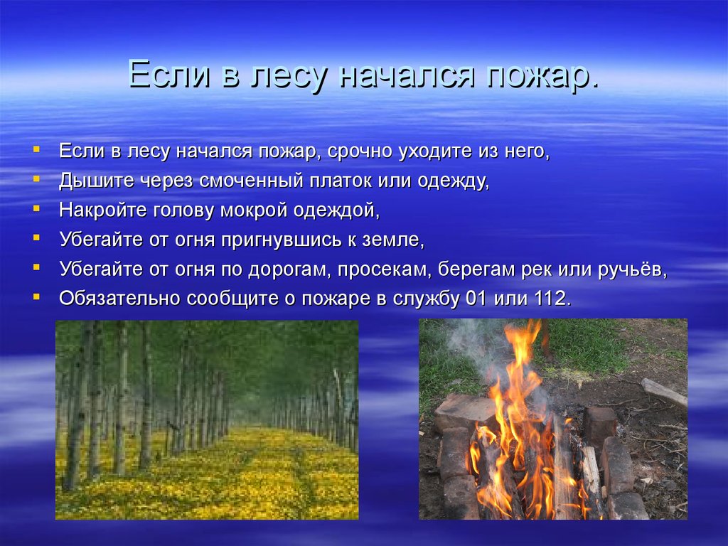 Оказавшись в зоне лесного пожара необходимо. Если начался пожар в лесу. Что делать если начался пожар в лесу. Лесные пожары правила поведения. Поведение при пожаре в лесу.