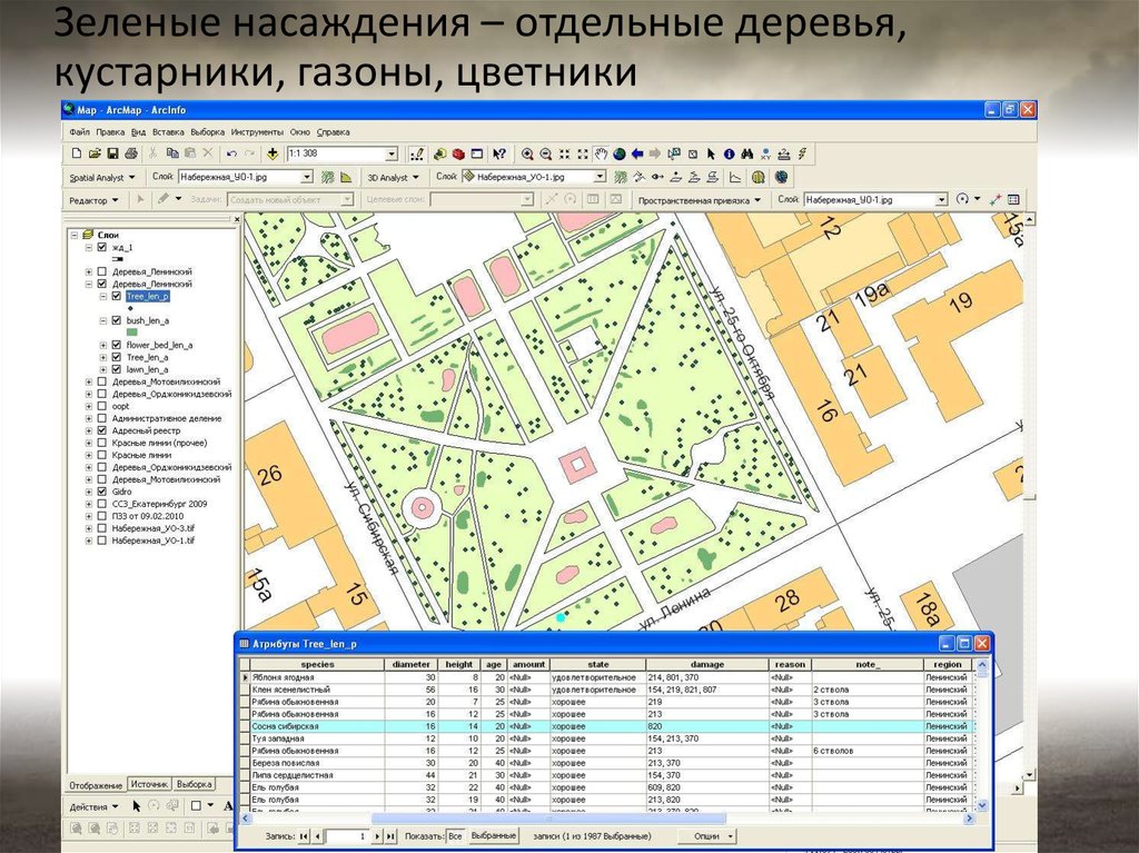 Приложение карта народная линия