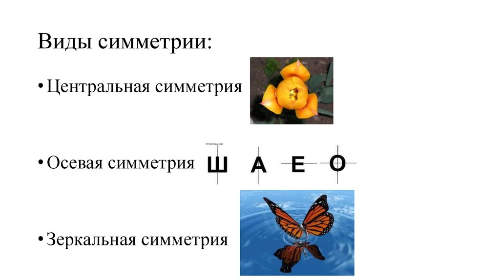 Типы симметрии. Виды симметрии. Основные типы симметрии. Виды симметрии с примерами. Виды симметрии осевая Центральная.