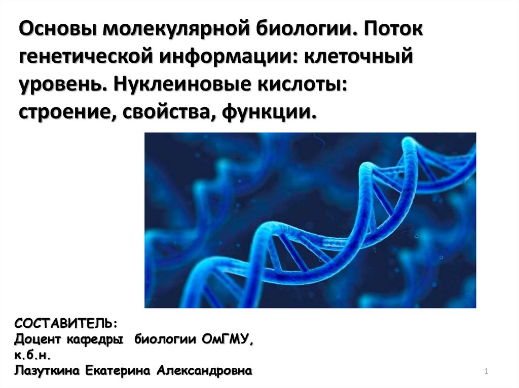 Генетическая информация