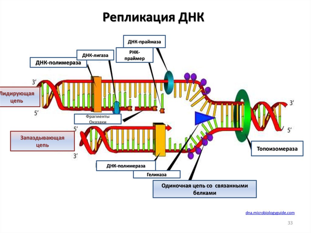 Репликация что это в компьютере