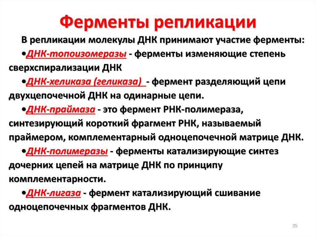 Какую роль выполняет генетический. Ферменты участвующие в репликации ДНК И их функции. Ферменты терминации репликации. Ферменты репликации молекулы ДНК таблица. Основной фермент репликации ДНК.