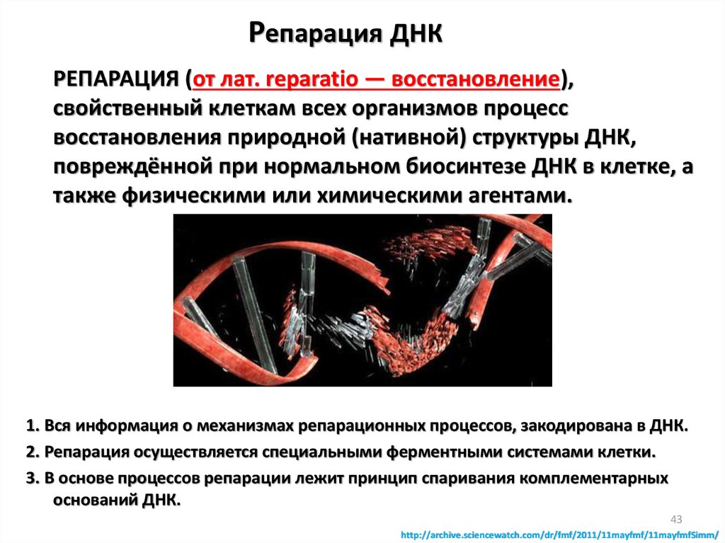 Репарация это простыми словами