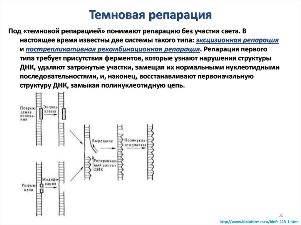 Репарация это простыми словами