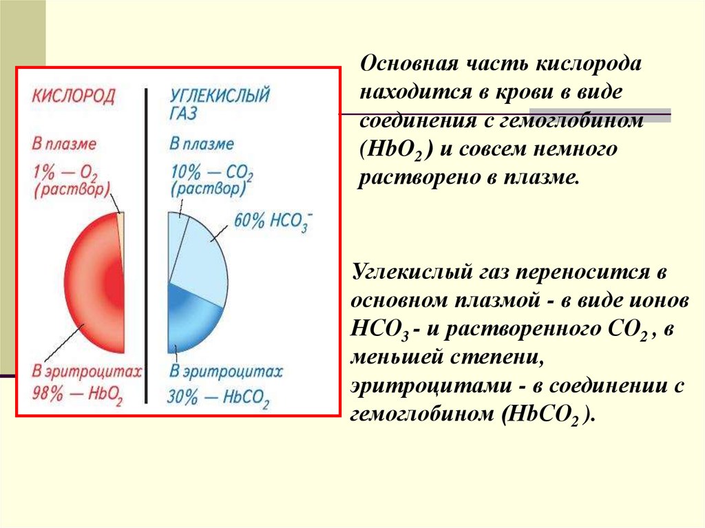 Жидкости переносящие в организме кислород. Соединение гемоглобина с углекислым газом. Углекислый ГАЗ соединяется с гемоглобином крови. Соединение углекислого газа с гемоглобином называется. Кислород располагается в группе.