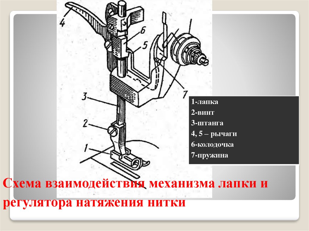 Как поднять лапку