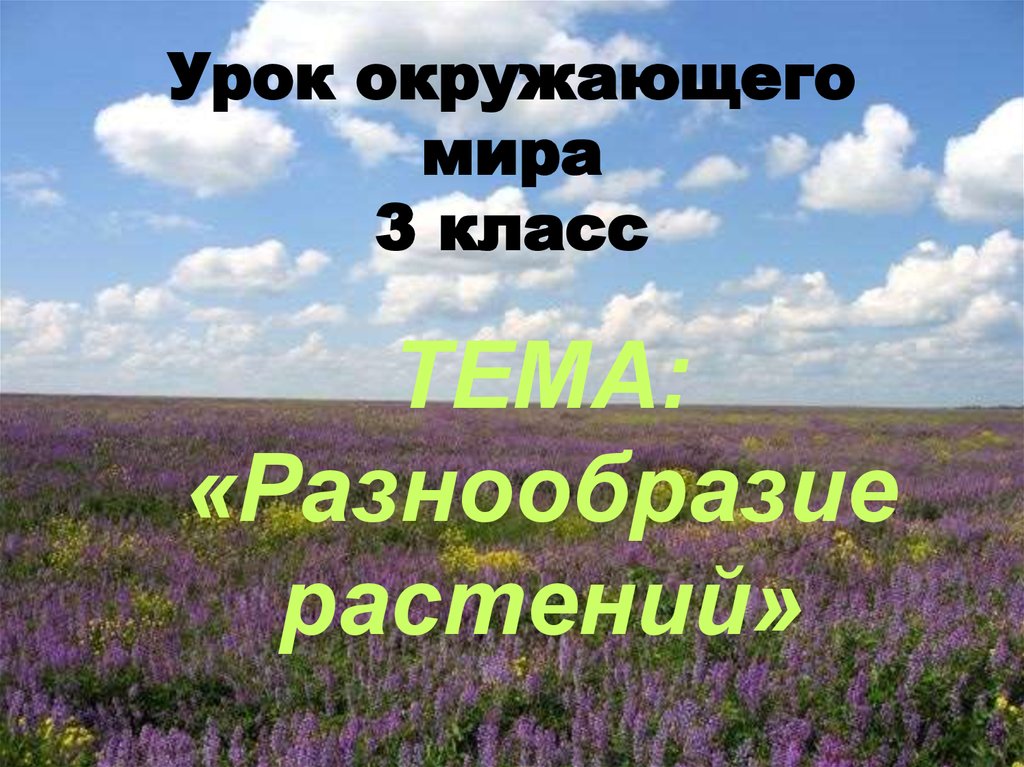 Презентация окружающий мир 3 класс разнообразие растений. Урок окружающего мира 3 класс. Урок окружающий мир 3 класс. Презентация на тему: урок: окружающий мир 3 класс. Окружающий мир 3 класс разнообразие растений учебник.