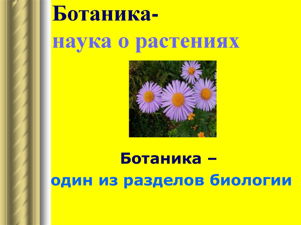 Ботаника наука о растениях 5 класс презентация