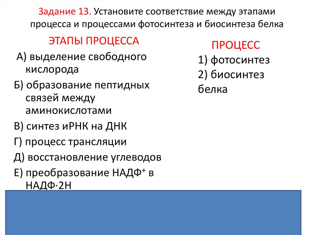 Проверочная работа по теме обмен веществ витамины