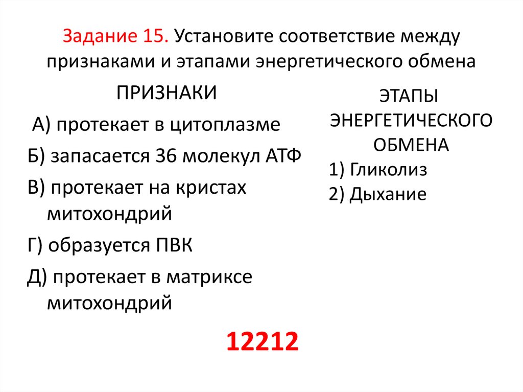 Установите соответствие энергетический обмен