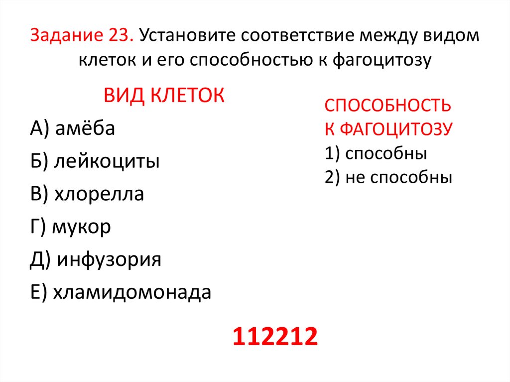 Установите соответствие между характеристиками и типами клеток. Установите соответствие между клетками и способностью к фагоцитозу. Установите соответствие между клетками. Инфузория способность к фагоцитозу. Установите соответствие между функцией и типом клетки.