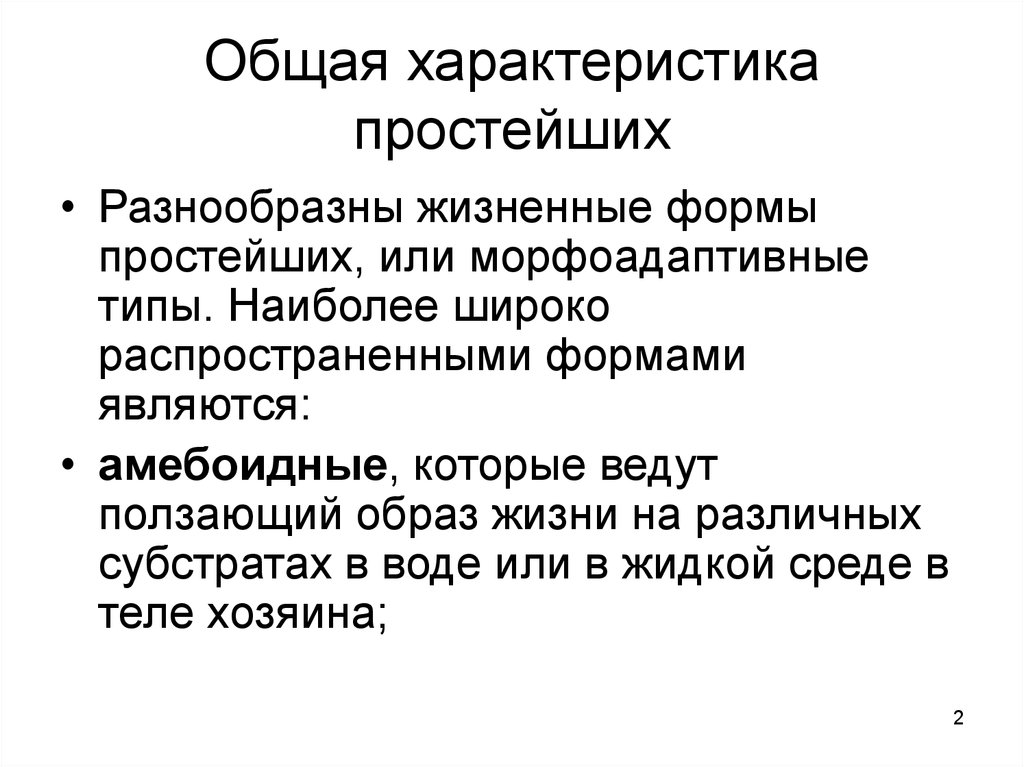 Особенности простейших. Общая характеристика простейших. Тип простейшие общая характеристика. Общая характеристика протистов. Основные свойства простейших.