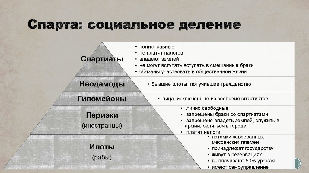 Государственный строй спарты схема