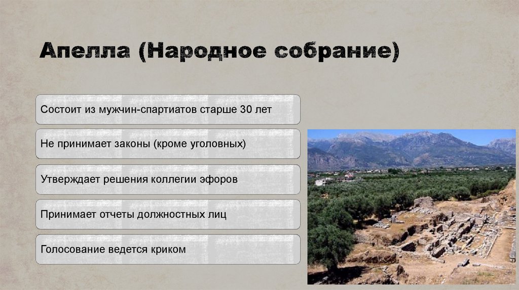 Высший орган власти в спарте. Народное собрание в древней Спарте. Народное собрание Апелла. Народное собрание Апелла в Спарте. Апелла в Спарте.