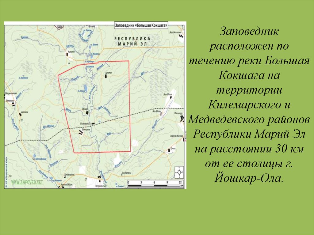 Заповедник большая кокшага презентация