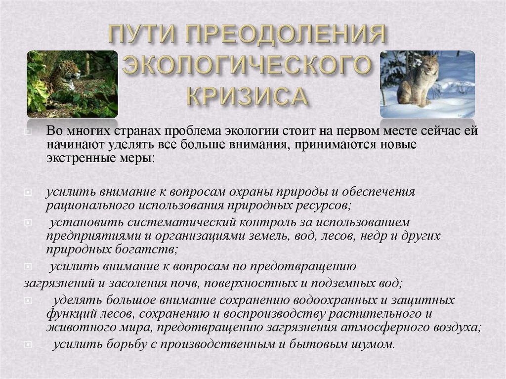 Составьте схему и дайте характеристику основных направлений выхода из экологического кризиса право