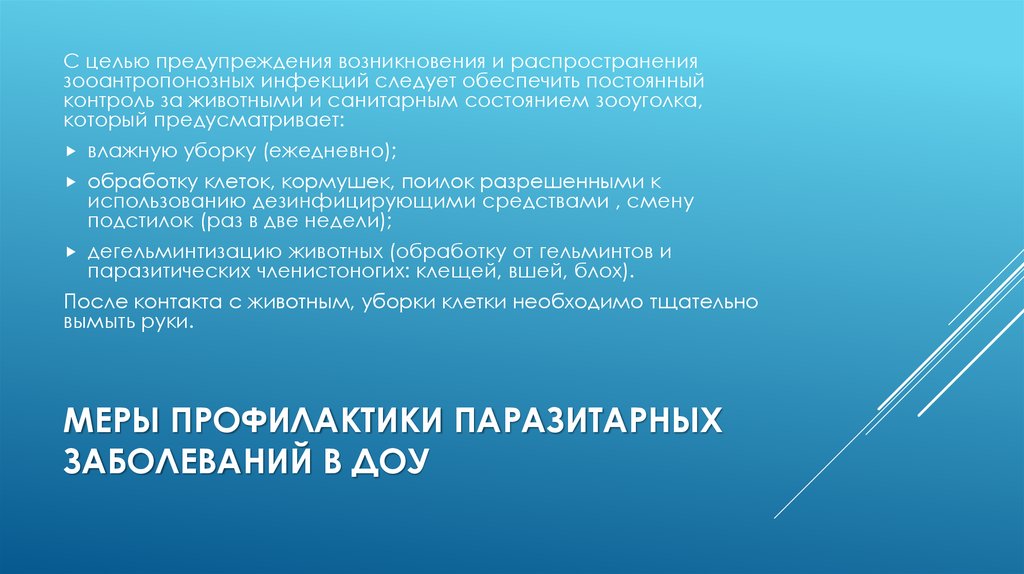 Меры профилактики паразитарных заболеваний в ДОУ