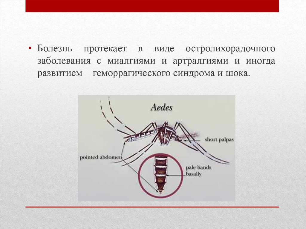 Развитие протекает