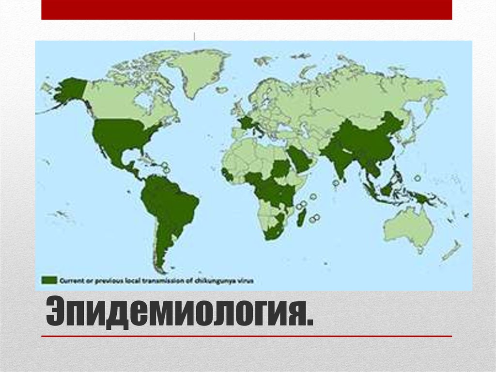 Лихорадка чикунгунья презентация