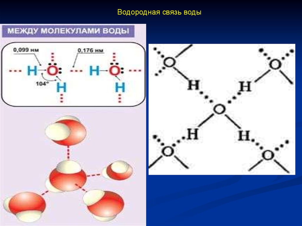 Метан водородная связь. Водородная связь между молекулами воды схема. Схема образования водородной связи между молекулами воды. Водородная химическая связь между молекулами воды. Водородная связь между молекулами воды.