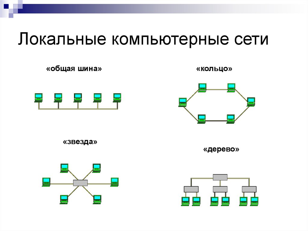 Схемы соединения компьютеров в сети. Схема локальной сети топологии шина. Локальные сети дерево звезда кольцо шина. Топология шина звезда кольцо. Локальные компьютерные сети ( ЛКС ).