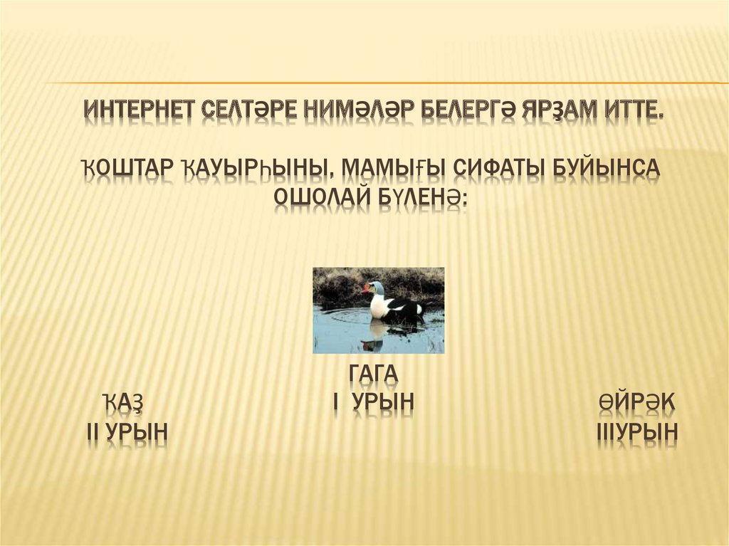 Интернет селтәре нимәләр белергә ярҙам итте. Ҡоштар ҡауырһыны, мамығы сифаты буйынса ошолай бүленә: гага ҡаҙ I урын өйрәк II