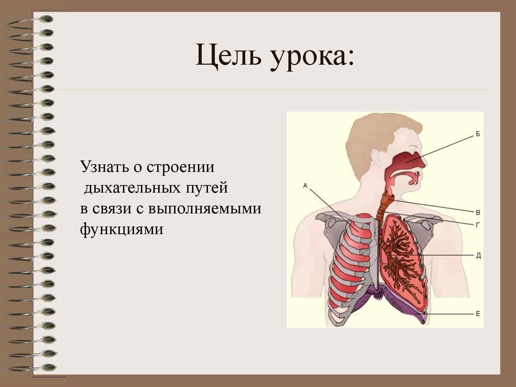 Цель урока: