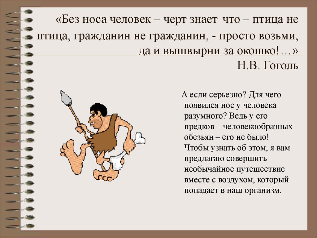 «Без носа человек – черт знает что – птица не птица, гражданин не гражданин, - просто возьми, да и вышвырни за окошко!…» Н.В.