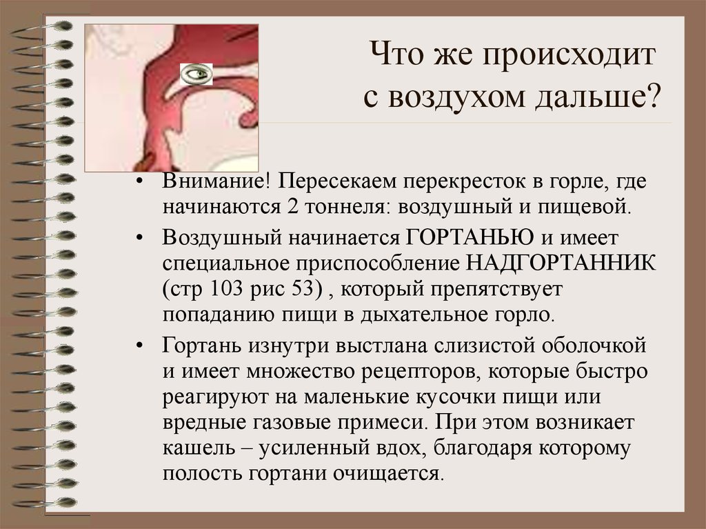 Что же происходит с воздухом дальше?