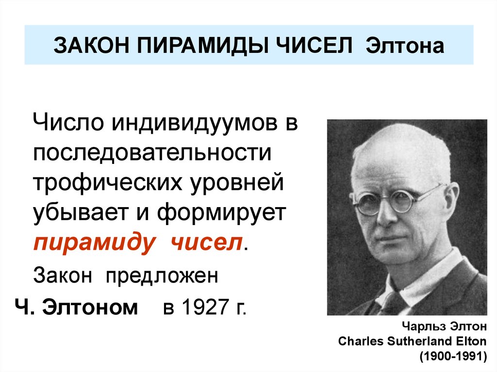 Закон чисел. Чарльз Элтон 1927. Чарлз Сазерленд Элтон. Экологическая пирамида Элтона. Закон Элтона.