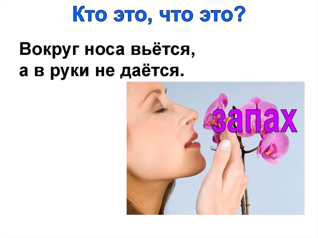 “Умники и умницы”. 2 класс. Логически-поисковые задания - презентация ...