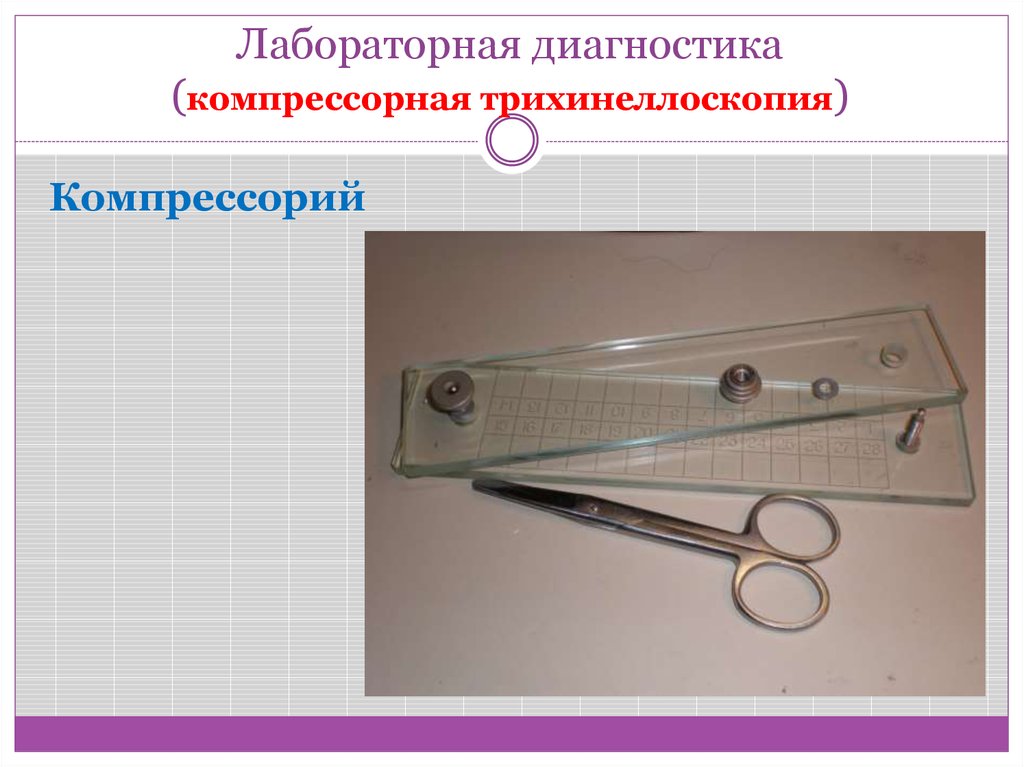 Трихинеллоскопию с обработкой срезов проводят для образцов