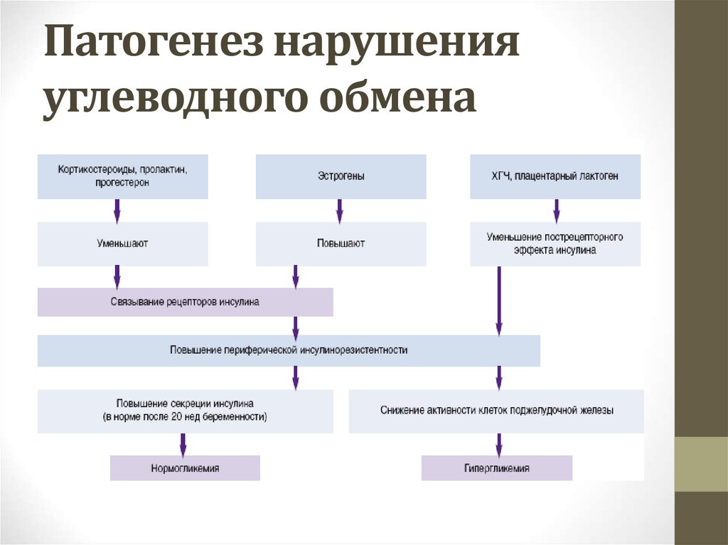 Патогенез профилактика. Механизм нарушения обмена углеводов при сахарном диабете. Биохимические механизмы развития патологии углеводного обмена. Таблица типовые формы нарушения обмена углеводов. Патологии почек в развитии нарушений углеводного обмена.