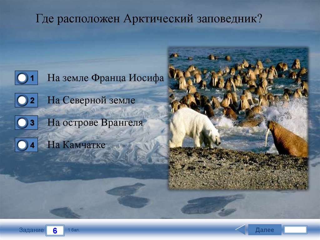 Название заповедников в арктических пустынях